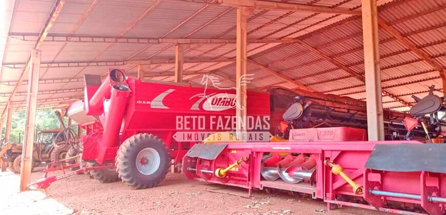 Fazenda à Venda 3.705 hectares Alta produtividade e Rentabilidade | Alto Boa Vista/MT