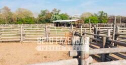 Fazendas Agrícolas à Venda 57.896 hectares em 3 Áreas com Aptidão Pecuária | Corumbá/MS