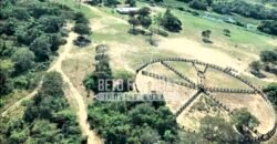 Fazendas Agrícolas à Venda 57.896 hectares em 3 Áreas com Aptidão Pecuária | Corumbá/MS