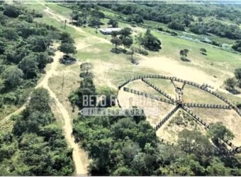Fazendas Agrícolas à Venda 57.896 hectares em 3 Áreas com Aptidão Pecuária | Corumbá/MS