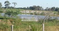 Fazenda à Venda 22.070 hectares Infraestrutura Completa para Pecuária | Corumbá/ MS Fazenda à Venda 22.070 hectares Infraestrutura Completa para Pecuária | Corumbá/ MS