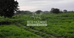 Fazenda à Venda 22.070 hectares Infraestrutura Completa para Pecuária | Corumbá/ MS Fazenda à Venda 22.070 hectares Infraestrutura Completa para Pecuária | Corumbá/ MS