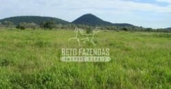 Fazenda à Venda 22.070 hectares Infraestrutura Completa para Pecuária | Corumbá/ MS Fazenda à Venda 22.070 hectares Infraestrutura Completa para Pecuária | Corumbá/ MS
