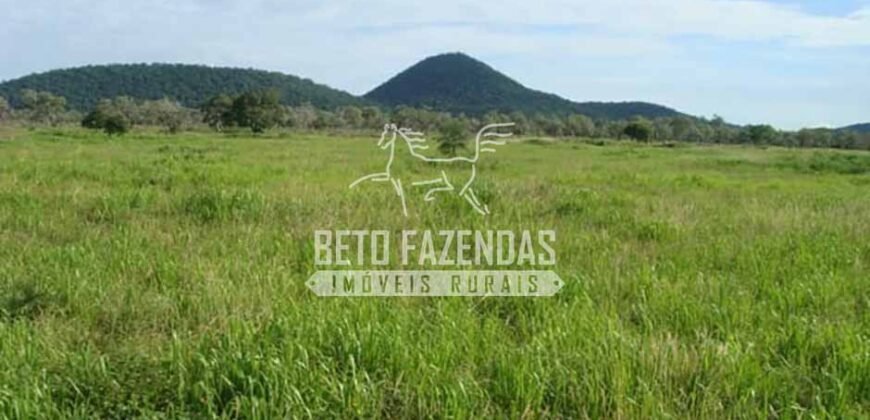 Fazenda à Venda 22.070 hectares Infraestrutura Completa para Pecuária | Corumbá/ MS Fazenda à Venda 22.070 hectares Infraestrutura Completa para Pecuária | Corumbá/ MS