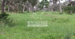 Fazenda à Venda 22.070 hectares Infraestrutura Completa para Pecuária | Corumbá/ MS Fazenda à Venda 22.070 hectares Infraestrutura Completa para Pecuária | Corumbá/ MS