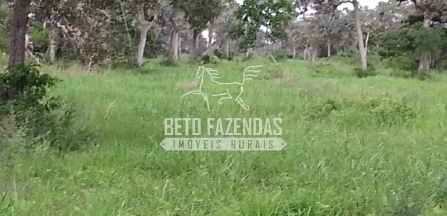 Fazenda à Venda 22.070 hectares Infraestrutura Completa para Pecuária | Corumbá/ MS Fazenda à Venda 22.070 hectares Infraestrutura Completa para Pecuária | Corumbá/ MS