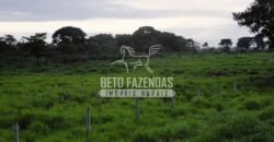 Fazenda à Venda 22.070 hectares Infraestrutura Completa para Pecuária | Corumbá/ MS Fazenda à Venda 22.070 hectares Infraestrutura Completa para Pecuária | Corumbá/ MS