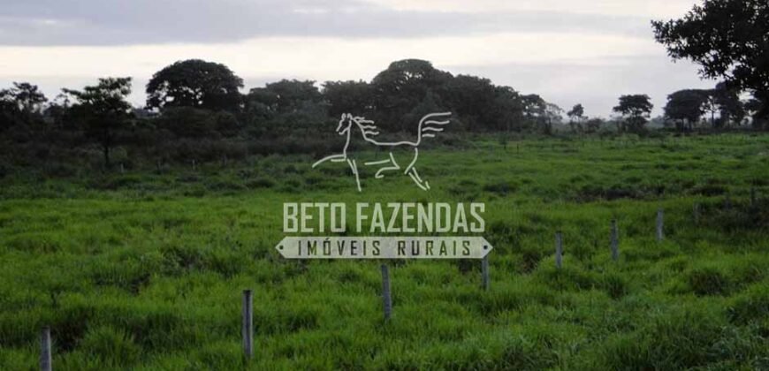 Fazenda à Venda 22.070 hectares Infraestrutura Completa para Pecuária | Corumbá/ MS Fazenda à Venda 22.070 hectares Infraestrutura Completa para Pecuária | Corumbá/ MS