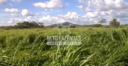 Fazenda à Venda 22.070 hectares Infraestrutura Completa para Pecuária | Corumbá/ MS Fazenda à Venda 22.070 hectares Infraestrutura Completa para Pecuária | Corumbá/ MS