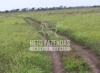 Fazenda à Venda 24.000 Hectares Pecuária Extensiva! no Pantanal Sul-Mato-Grossense | Corumbá/MS Fazenda à Venda 24.000 Hectares Pecuária Extensiva! no Pantanal Sul-Mato-Grossense | Corumbá/MS