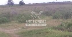 Fazenda à Venda 24.000 Hectares Pecuária Extensiva! no Pantanal Sul-Mato-Grossense | Corumbá/MS