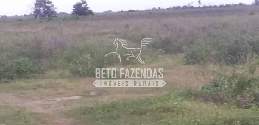 Fazenda à Venda 24.000 Hectares Pecuária Extensiva! no Pantanal Sul-Mato-Grossense | Corumbá/MS