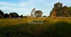 Fazenda à Venda 100.000 ha Toda Infraestrutura Pista de Pouso – Porteira Fechada | Cocalinho/ MT Fazenda à Venda 100.000 ha Toda Infraestrutura Pista de Pouso – Porteira Fechada | Cocalinho/ MT