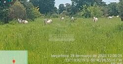 Fazenda à Venda 100.000 ha Toda Infraestrutura Pista de Pouso – Porteira Fechada | Cocalinho/ MT Fazenda à Venda 100.000 ha Toda Infraestrutura Pista de Pouso – Porteira Fechada | Cocalinho/ MT