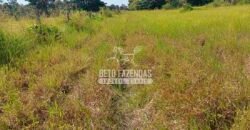 Fazenda à Venda 100.000 ha Toda Infraestrutura Pista de Pouso – Porteira Fechada | Cocalinho/ MT Fazenda à Venda 100.000 ha Toda Infraestrutura Pista de Pouso – Porteira Fechada | Cocalinho/ MT