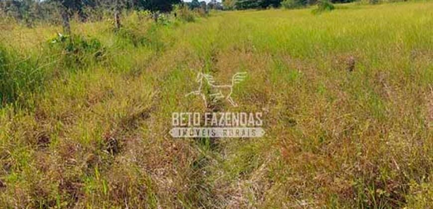 Fazenda à Venda 100.000 ha Toda Infraestrutura Pista de Pouso – Porteira Fechada | Cocalinho/ MT Fazenda à Venda 100.000 ha Toda Infraestrutura Pista de Pouso – Porteira Fechada | Cocalinho/ MT