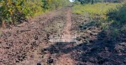 Fazenda à Venda 100.000 ha Toda Infraestrutura Pista de Pouso – Porteira Fechada | Cocalinho/ MT Fazenda à Venda 100.000 ha Toda Infraestrutura Pista de Pouso – Porteira Fechada | Cocalinho/ MT