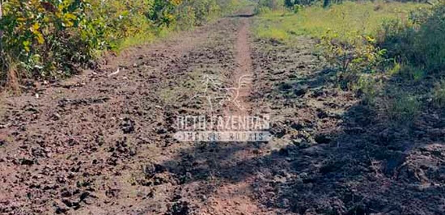 Fazenda à Venda 100.000 ha Toda Infraestrutura Pista de Pouso – Porteira Fechada | Cocalinho/ MT Fazenda à Venda 100.000 ha Toda Infraestrutura Pista de Pouso – Porteira Fechada | Cocalinho/ MT