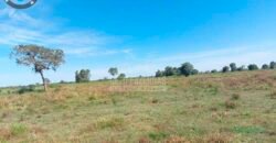 Fazenda à Venda 100.000 ha Toda Infraestrutura Pista de Pouso – Porteira Fechada | Cocalinho/ MT Fazenda à Venda 100.000 ha Toda Infraestrutura Pista de Pouso – Porteira Fechada | Cocalinho/ MT