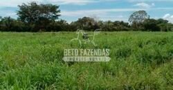 Fazenda à Venda 100.000 ha Toda Infraestrutura Pista de Pouso – Porteira Fechada | Cocalinho/ MT Fazenda à Venda 100.000 ha Toda Infraestrutura Pista de Pouso – Porteira Fechada | Cocalinho/ MT