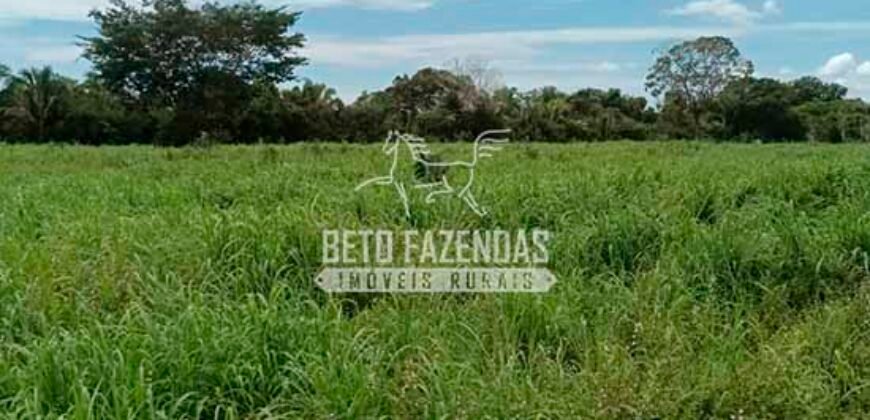 Fazenda à Venda 100.000 ha Toda Infraestrutura Pista de Pouso – Porteira Fechada | Cocalinho/ MT Fazenda à Venda 100.000 ha Toda Infraestrutura Pista de Pouso – Porteira Fechada | Cocalinho/ MT