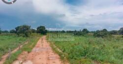 Fazenda à Venda 100.000 ha Toda Infraestrutura Pista de Pouso – Porteira Fechada | Cocalinho/ MT Fazenda à Venda 100.000 ha Toda Infraestrutura Pista de Pouso – Porteira Fechada | Cocalinho/ MT