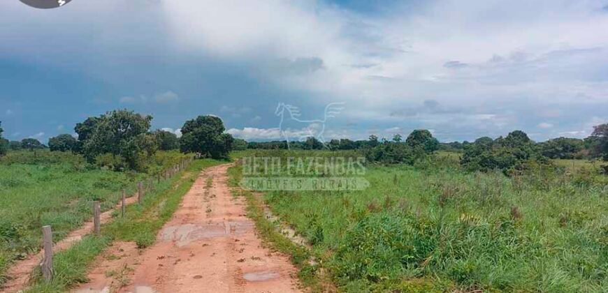 Fazenda à Venda 100.000 ha Toda Infraestrutura Pista de Pouso – Porteira Fechada | Cocalinho/ MT Fazenda à Venda 100.000 ha Toda Infraestrutura Pista de Pouso – Porteira Fechada | Cocalinho/ MT