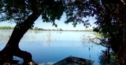 Fazenda à Venda 100.000 ha Toda Infraestrutura Pista de Pouso – Porteira Fechada | Cocalinho/ MT Fazenda à Venda 100.000 ha Toda Infraestrutura Pista de Pouso – Porteira Fechada | Cocalinho/ MT