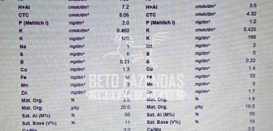 Fazenda à Venda 100.000 ha Toda Infraestrutura Pista de Pouso – Porteira Fechada | Cocalinho/ MT Fazenda à Venda 100.000 ha Toda Infraestrutura Pista de Pouso – Porteira Fechada | Cocalinho/ MT