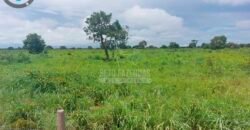 Fazenda à Venda 100.000 ha Toda Infraestrutura Pista de Pouso – Porteira Fechada | Cocalinho/ MT Fazenda à Venda 100.000 ha Toda Infraestrutura Pista de Pouso – Porteira Fechada | Cocalinho/ MT