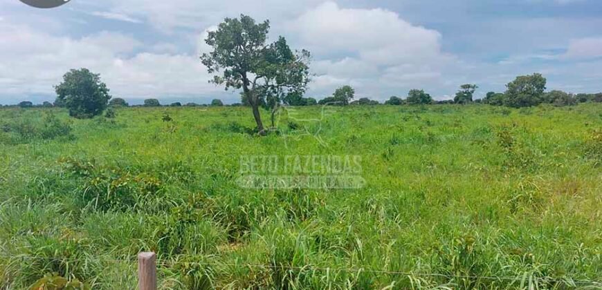 Fazenda à Venda 100.000 ha Toda Infraestrutura Pista de Pouso – Porteira Fechada | Cocalinho/ MT Fazenda à Venda 100.000 ha Toda Infraestrutura Pista de Pouso – Porteira Fechada | Cocalinho/ MT