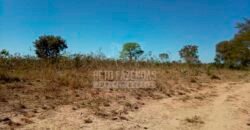 Fazenda à Venda 100.000 ha Toda Infraestrutura Pista de Pouso – Porteira Fechada | Cocalinho/ MT Fazenda à Venda 100.000 ha Toda Infraestrutura Pista de Pouso – Porteira Fechada | Cocalinho/ MT