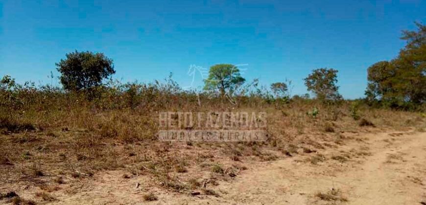 Fazenda à Venda 100.000 ha Toda Infraestrutura Pista de Pouso – Porteira Fechada | Cocalinho/ MT Fazenda à Venda 100.000 ha Toda Infraestrutura Pista de Pouso – Porteira Fechada | Cocalinho/ MT