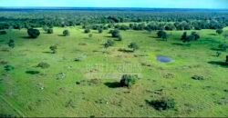 Fazenda à Venda 100.000 ha Toda Infraestrutura Pista de Pouso – Porteira Fechada | Cocalinho/ MT Fazenda à Venda 100.000 ha Toda Infraestrutura Pista de Pouso – Porteira Fechada | Cocalinho/ MT