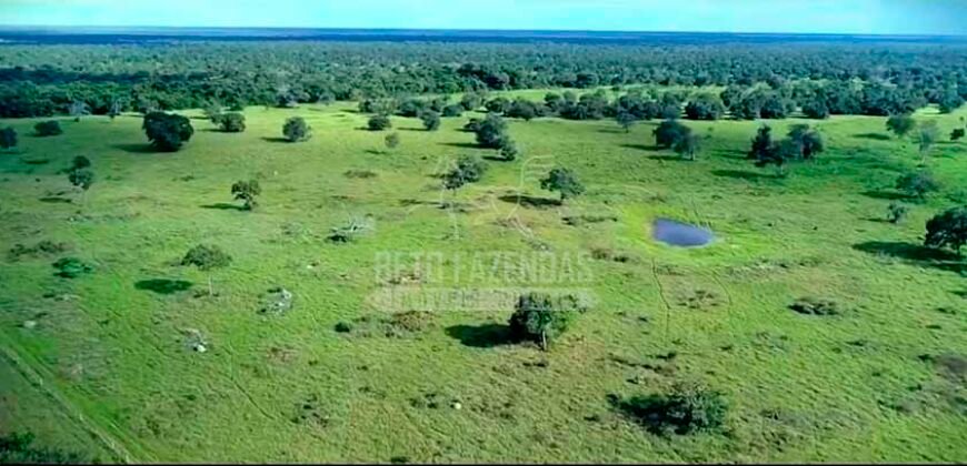 Fazenda à Venda 100.000 ha Toda Infraestrutura Pista de Pouso – Porteira Fechada | Cocalinho/ MT Fazenda à Venda 100.000 ha Toda Infraestrutura Pista de Pouso – Porteira Fechada | Cocalinho/ MT