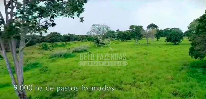 Fazenda à Venda 100.000 ha Toda Infraestrutura Pista de Pouso – Porteira Fechada | Cocalinho/ MT Fazenda à Venda 100.000 ha Toda Infraestrutura Pista de Pouso – Porteira Fechada | Cocalinho/ MT