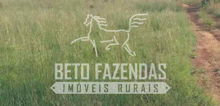 Fazenda à Venda 100.000 ha Toda Infraestrutura Pista de Pouso – Porteira Fechada | Cocalinho/ MT Fazenda à Venda 100.000 ha Toda Infraestrutura Pista de Pouso – Porteira Fechada | Cocalinho/ MT