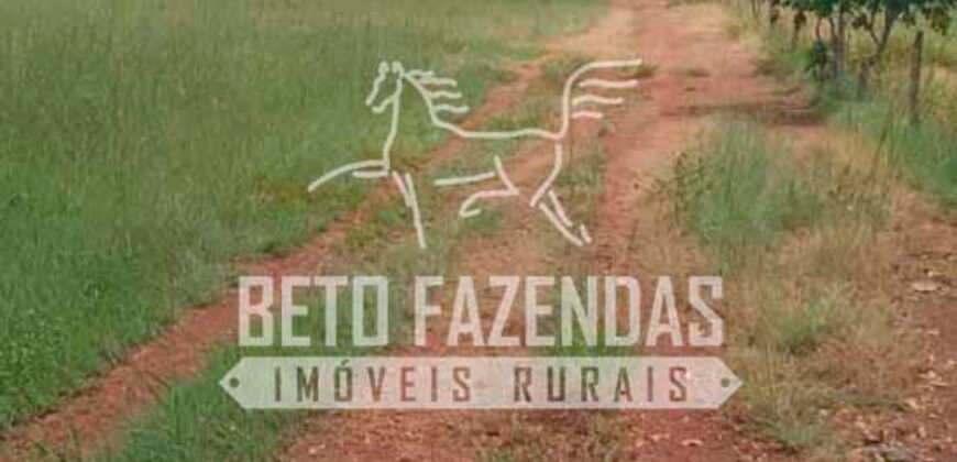 Fazenda à Venda 100.000 ha Toda Infraestrutura Pista de Pouso – Porteira Fechada | Cocalinho/ MT Fazenda à Venda 100.000 ha Toda Infraestrutura Pista de Pouso – Porteira Fechada | Cocalinho/ MT