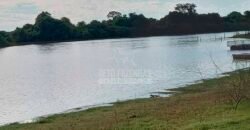 Fazenda à Venda 100.000 ha Toda Infraestrutura Pista de Pouso – Porteira Fechada | Cocalinho/ MT Fazenda à Venda 100.000 ha Toda Infraestrutura Pista de Pouso – Porteira Fechada | Cocalinho/ MT