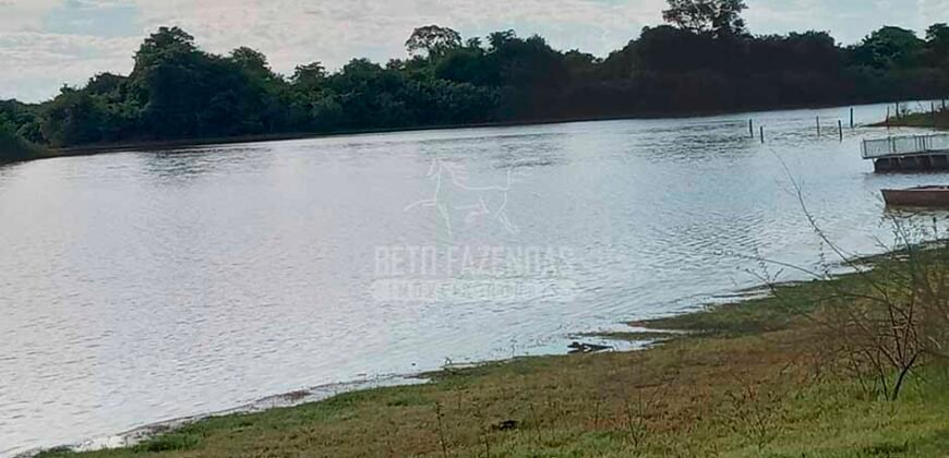 Fazenda à Venda 100.000 ha Toda Infraestrutura Pista de Pouso – Porteira Fechada | Cocalinho/ MT Fazenda à Venda 100.000 ha Toda Infraestrutura Pista de Pouso – Porteira Fechada | Cocalinho/ MT
