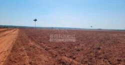 Fazenda à Venda 100.000 ha Toda Infraestrutura Pista de Pouso – Porteira Fechada | Cocalinho/ MT Fazenda à Venda 100.000 ha Toda Infraestrutura Pista de Pouso – Porteira Fechada | Cocalinho/ MT