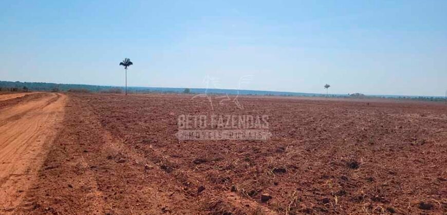 Fazenda à Venda 100.000 ha Toda Infraestrutura Pista de Pouso – Porteira Fechada | Cocalinho/ MT Fazenda à Venda 100.000 ha Toda Infraestrutura Pista de Pouso – Porteira Fechada | Cocalinho/ MT