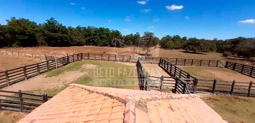 Fazenda à Venda 100.000 ha Toda Infraestrutura Pista de Pouso – Porteira Fechada | Cocalinho/ MT Fazenda à Venda 100.000 ha Toda Infraestrutura Pista de Pouso – Porteira Fechada | Cocalinho/ MT