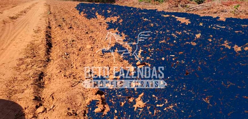Fazenda à Venda 100.000 ha Toda Infraestrutura Pista de Pouso – Porteira Fechada | Cocalinho/ MT Fazenda à Venda 100.000 ha Toda Infraestrutura Pista de Pouso – Porteira Fechada | Cocalinho/ MT