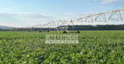 Fazenda à Venda 2.050 hectares Completa com Infraestrutura Dupla Aptidão  | Corinto/MG