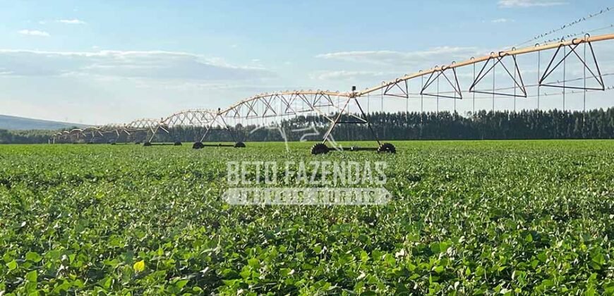 Fazenda à Venda 2.050 hectares Completa com Infraestrutura Dupla Aptidão  | Corinto/MG