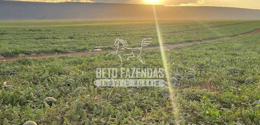 Fazenda à Venda 2.050 hectares Completa com Infraestrutura Dupla Aptidão  | Corinto/MG