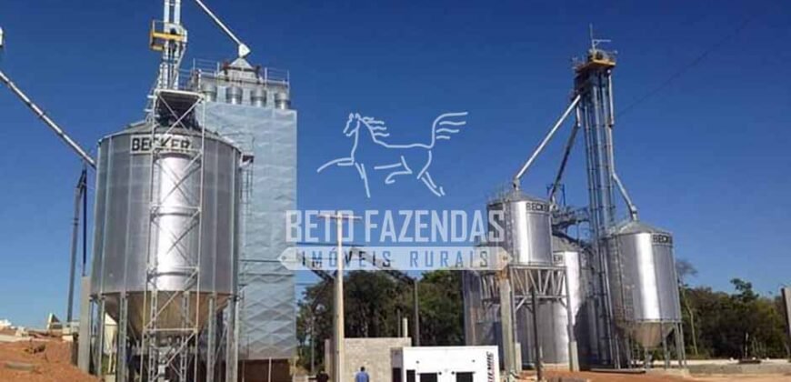 Fazenda Gigante à Venda 44.000 has Histórico de Alta Produtividade Infra Completa | Região do Araguaia/ PA