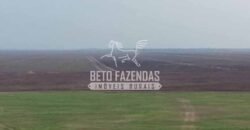 Fazenda Gigante à Venda 44.000 has Histórico de Alta Produtividade Infra Completa | Região do Araguaia/ PA