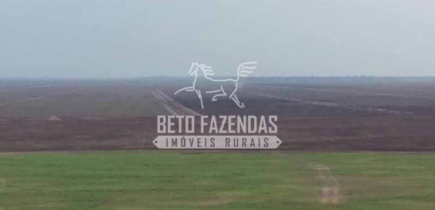 Fazenda Gigante à Venda 44.000 has Histórico de Alta Produtividade Infra Completa | Região do Araguaia/ PA